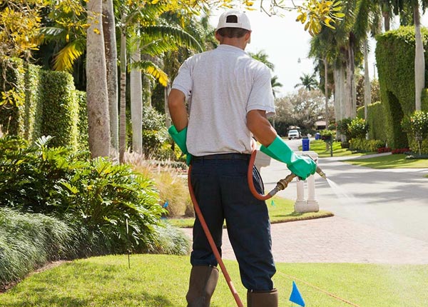 About Presque Isle ME Pest Control Pros